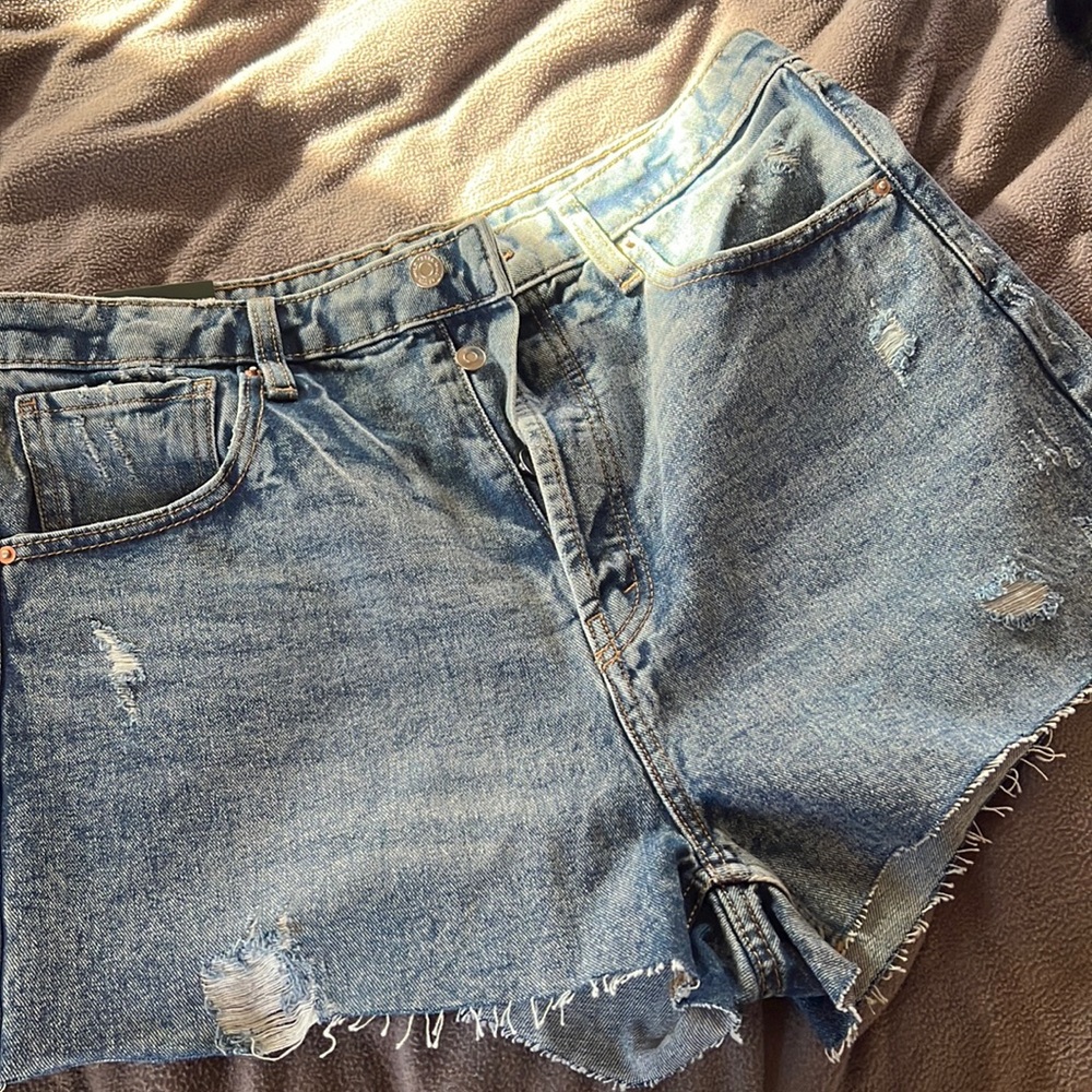 New size 14 shorts